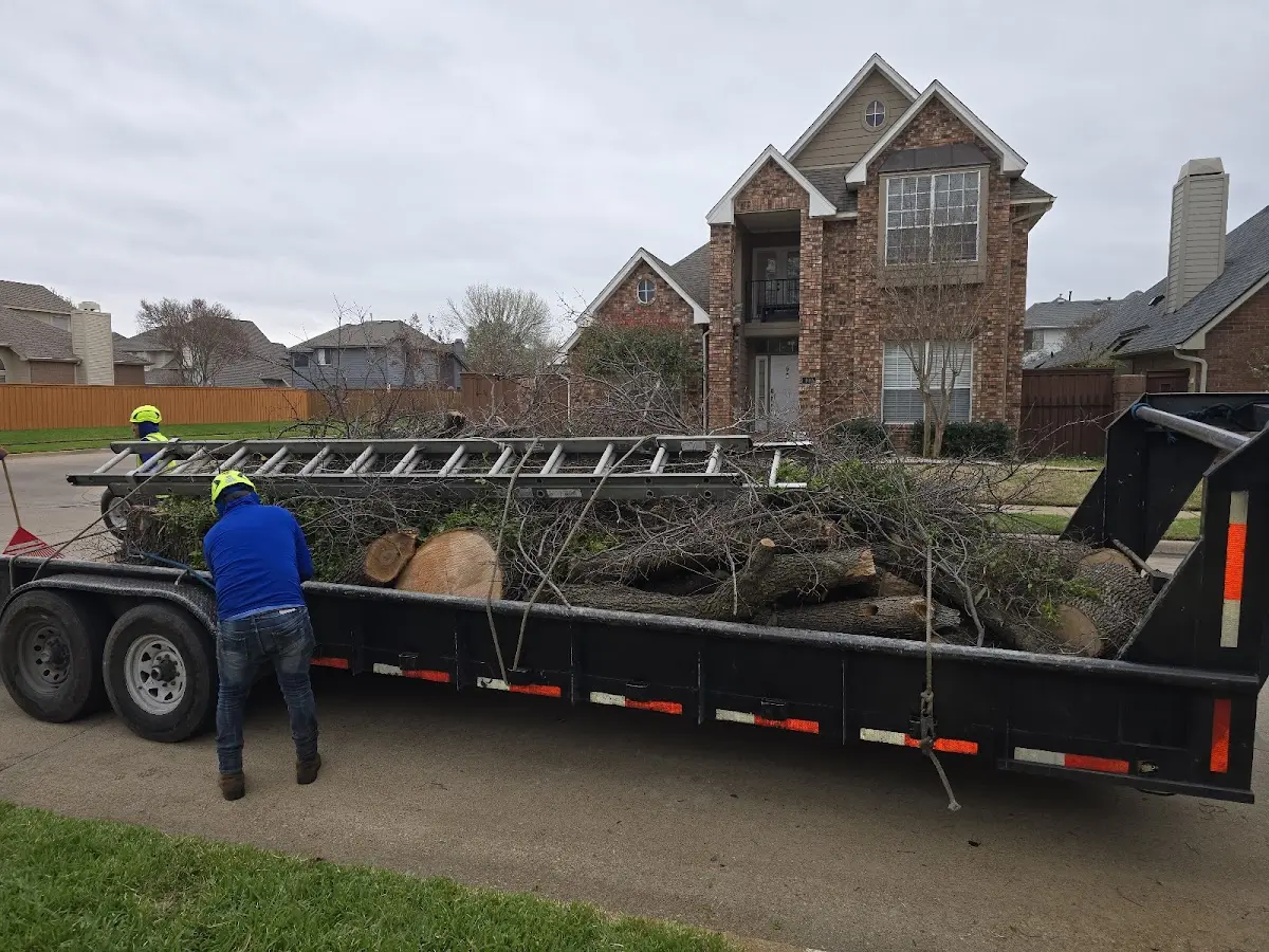 Expert Tree Fertilization with proper safety equipment in Mackinac Island